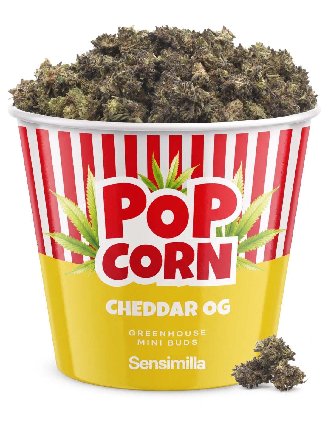 Cheddar Popcorn