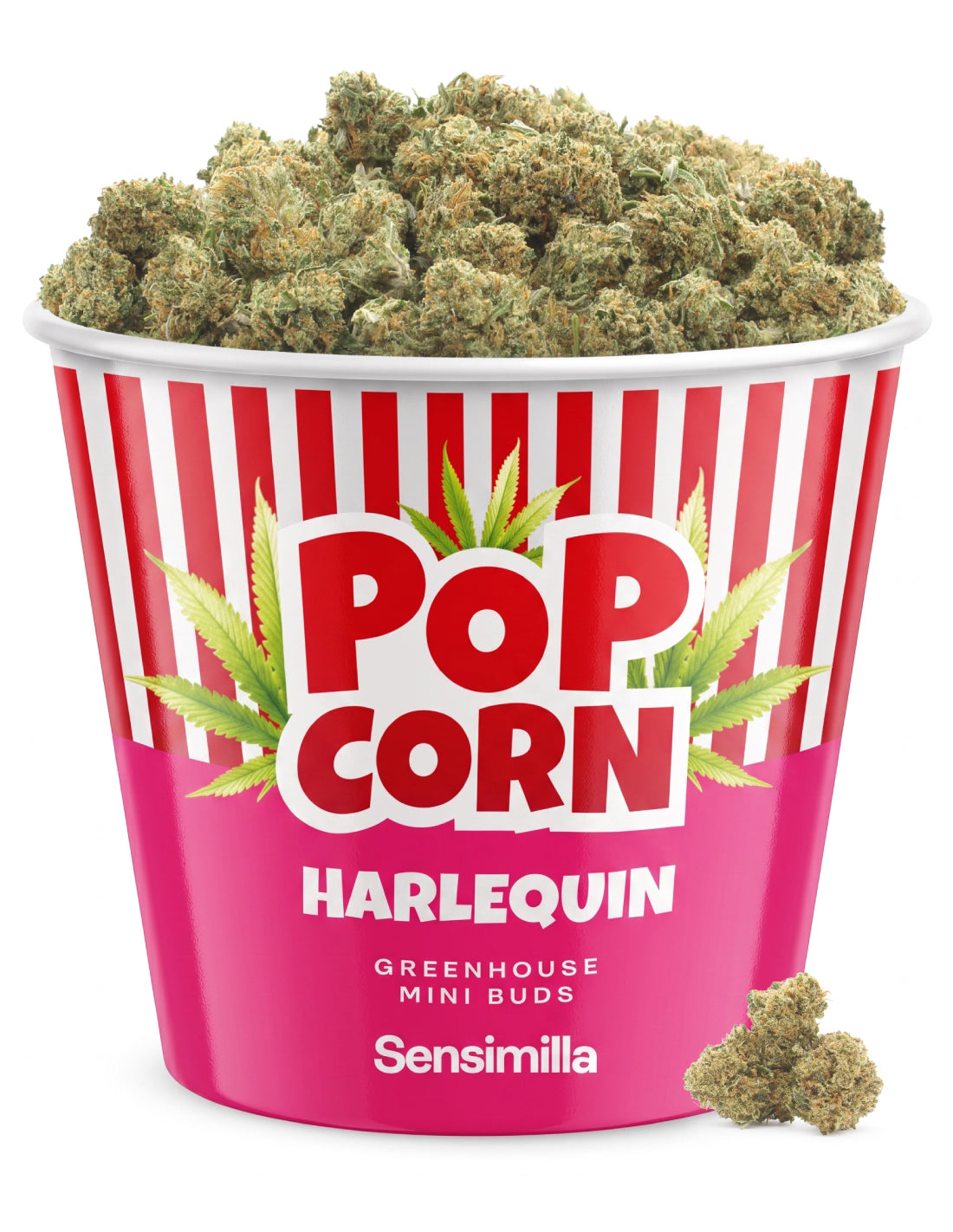 Harlequin Popcorn