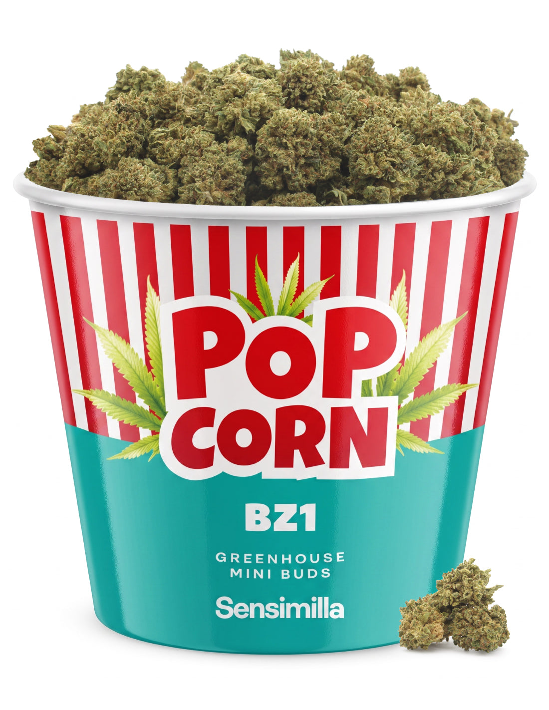 BZ1 Popcorn