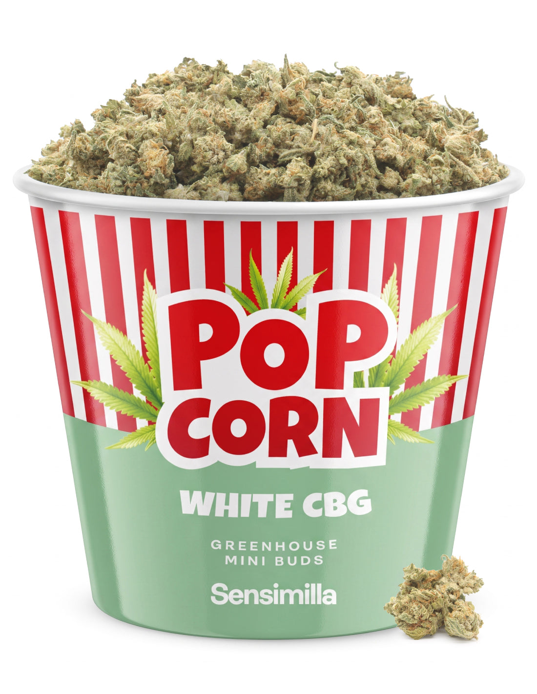 White CBG Popcorn