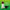 olio-cbd-evo-10-full