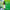olio-cbd-evo-full-20