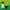 olio-cbd-full-30