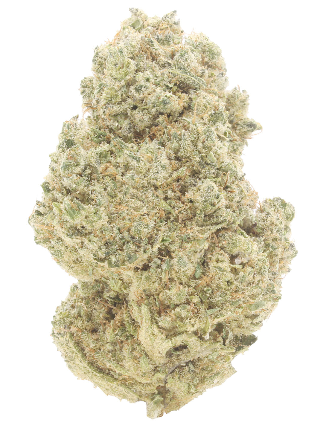 White Widow