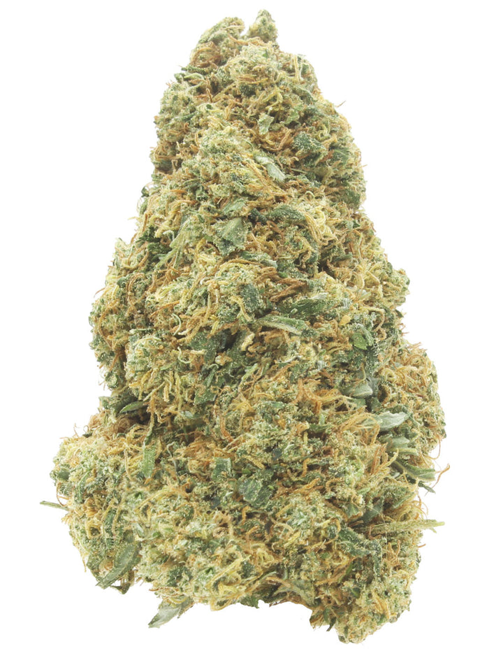 Gelato 41 Indoor
