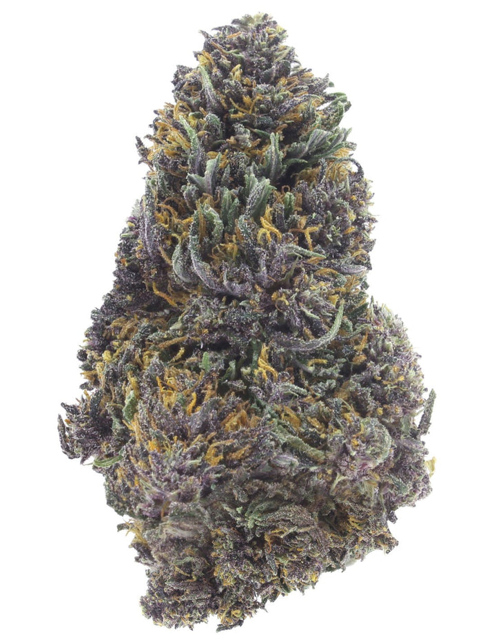 Purple Queen
