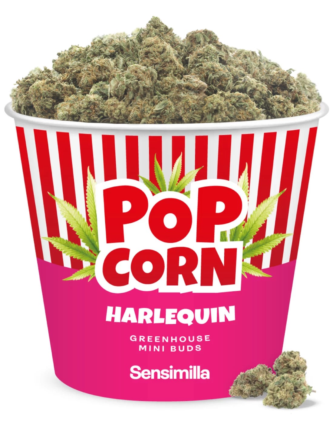 Harlequin Popcorn