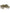 Cannatonic Popcorn