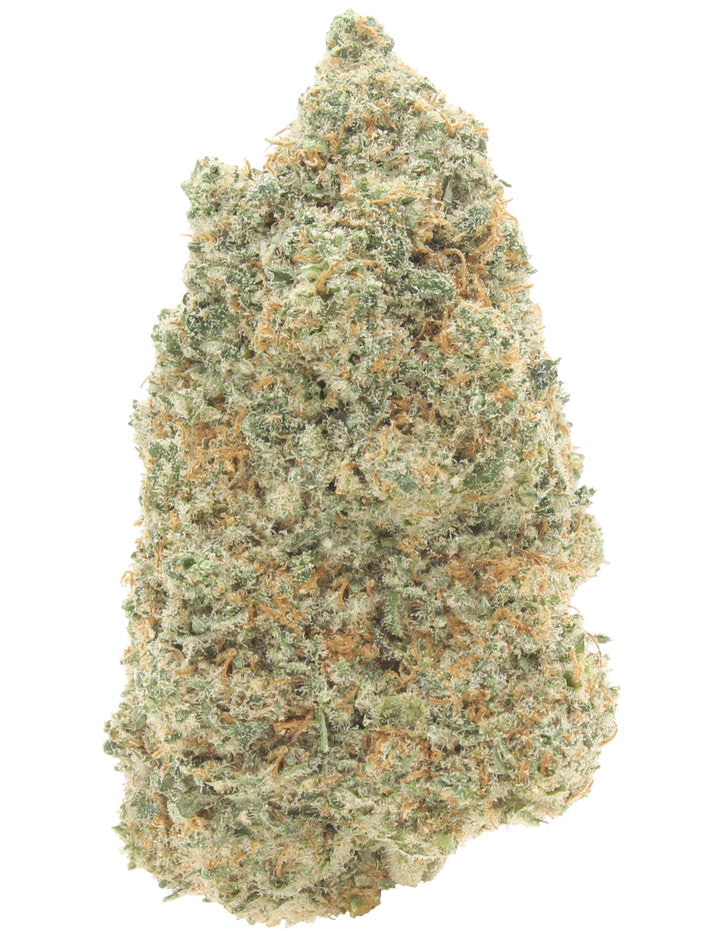 Northern Lights