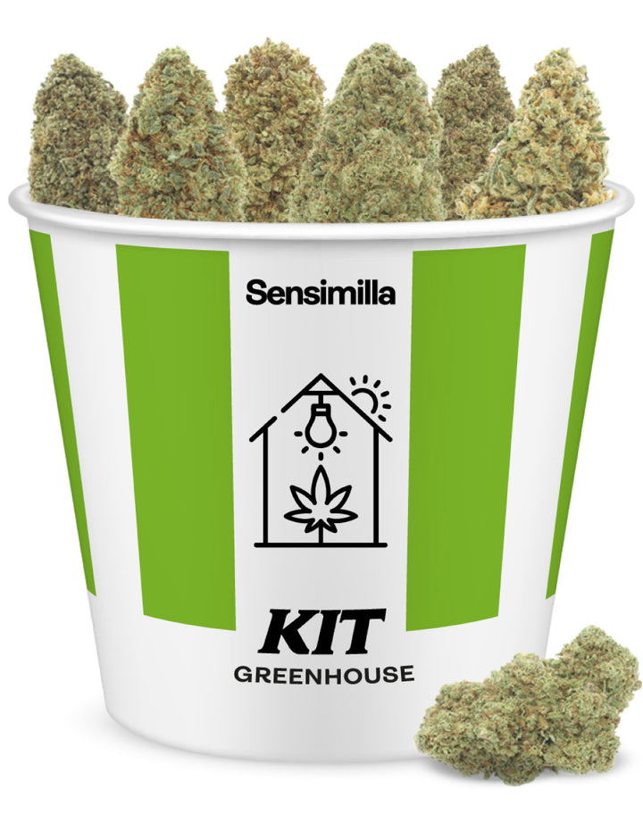 Gewächshaus-Set 20g
