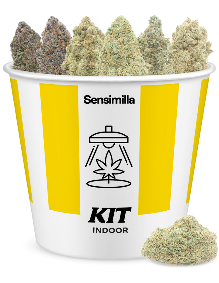 Indoor-Set