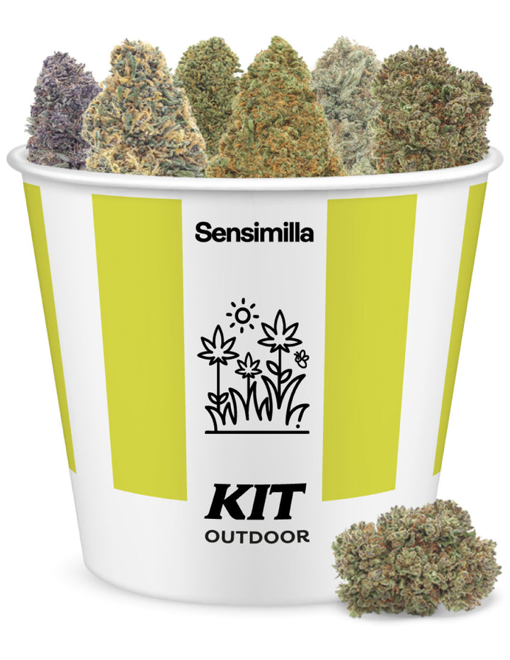 Outdoor-Set - 30g