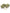 Gorilla Glue