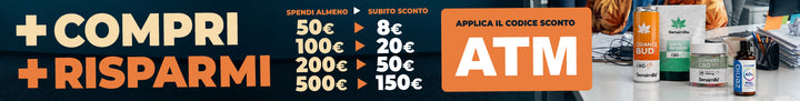 Promotion banner