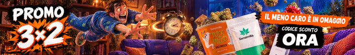 Promotion banner