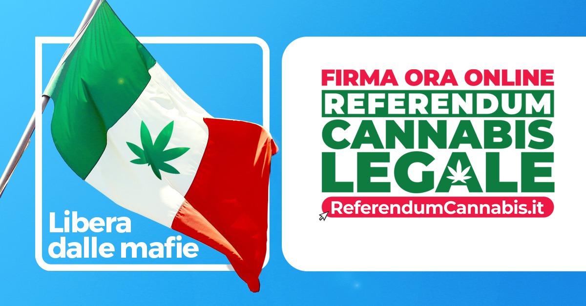 Ecco perché il referendum sulla cannabis è anche una lotta alla mafia