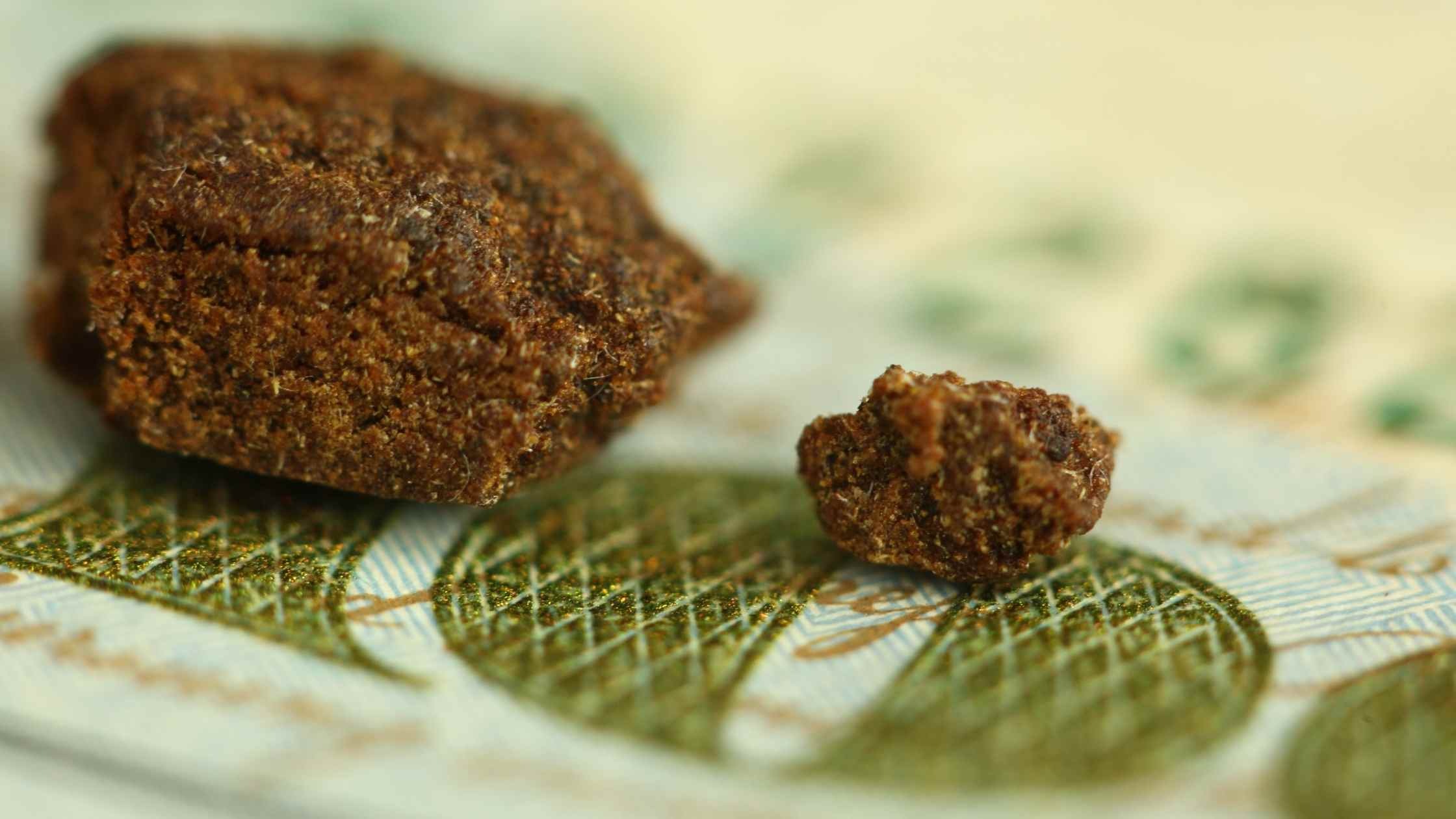 Hashish Cos'è, da dove deriva e come fare per riconoscerlo