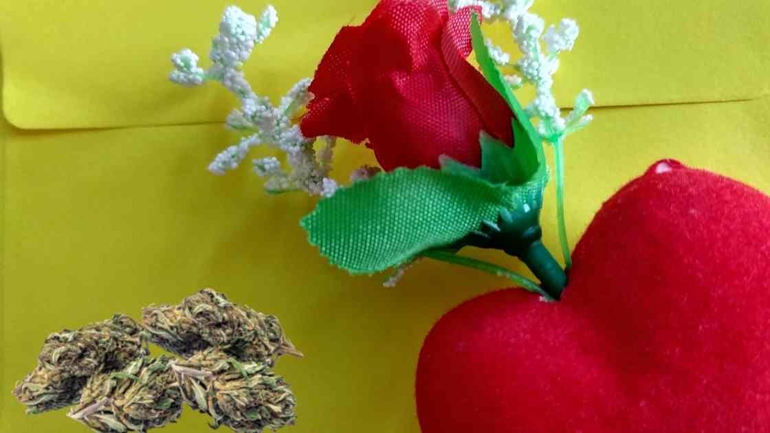 Cena a base di Cannabis : San Valentino 2022 a casa