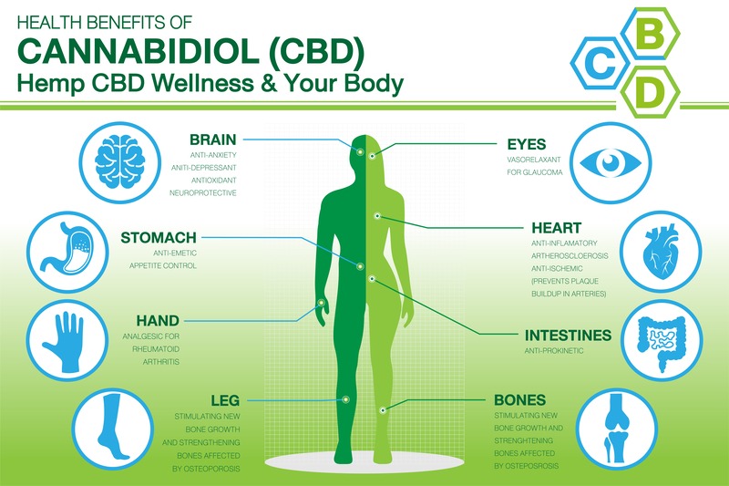 Che cosa si intende per CBD? Proprietà e benefici del Cannabidiolo